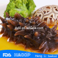 FDA, HACCP, KOSHER de alta qualidade Canadá Frozen Sea Cucumber Meat